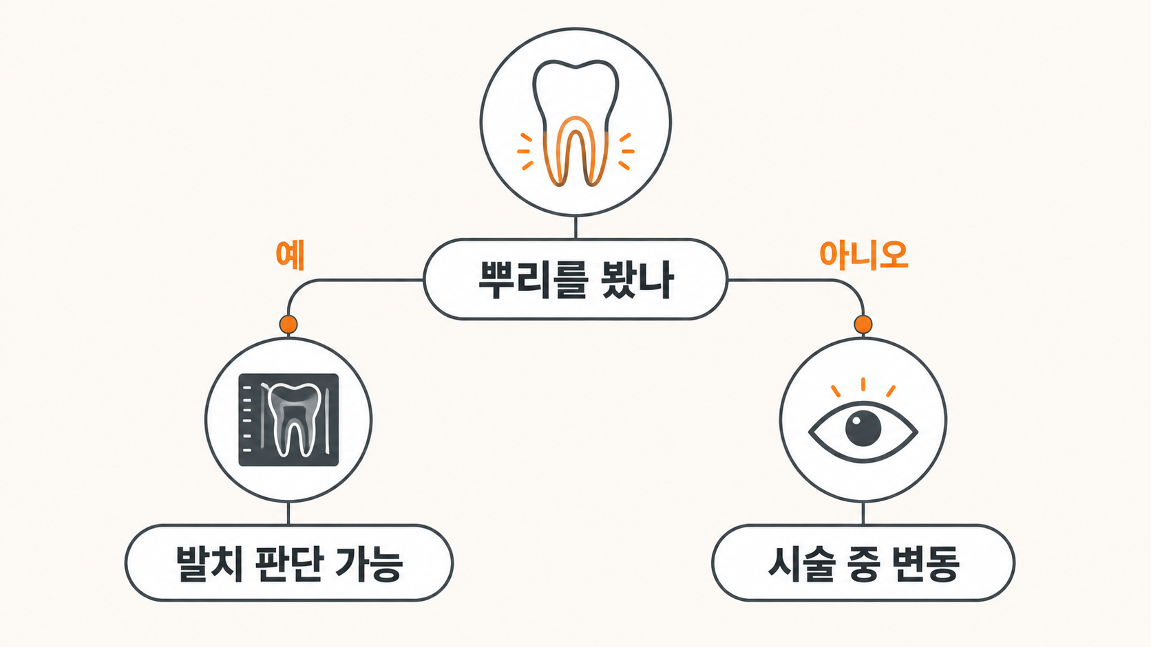 치과 방사선 판단 갈림길