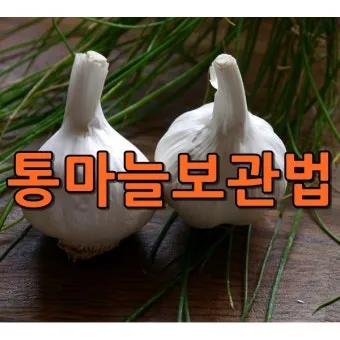 통마늘 지퍼백 보관 효과 오래 보관하는 방법_2