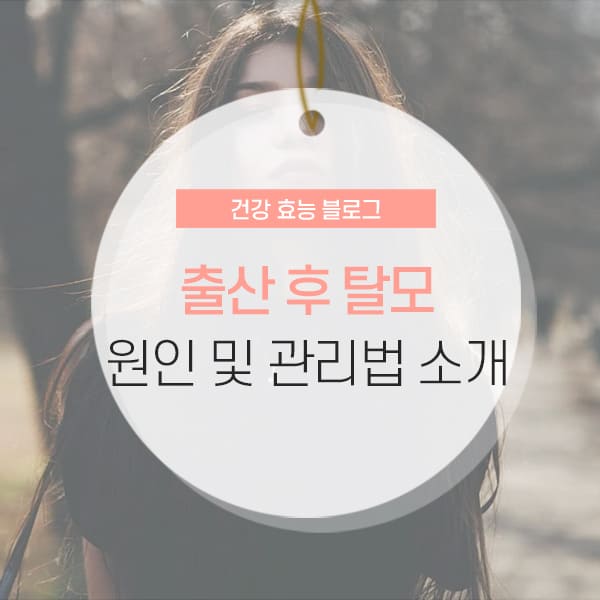 출산 후 탈모 출산 후 탈모 원인 및 시기 소개 콘텐츠