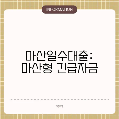마산일수대출: 마산형 긴급자금