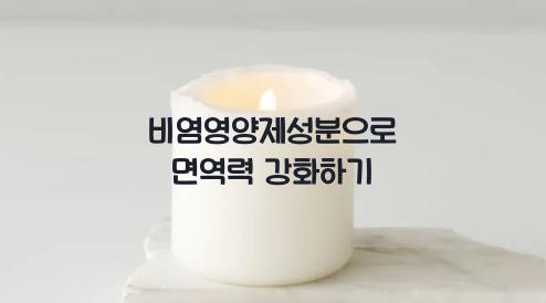 비염영양제성분