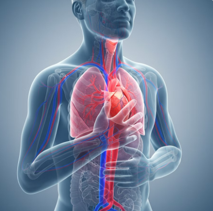 부정맥의 추가 증상