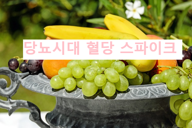 당뇨시대 혈당 스파이크