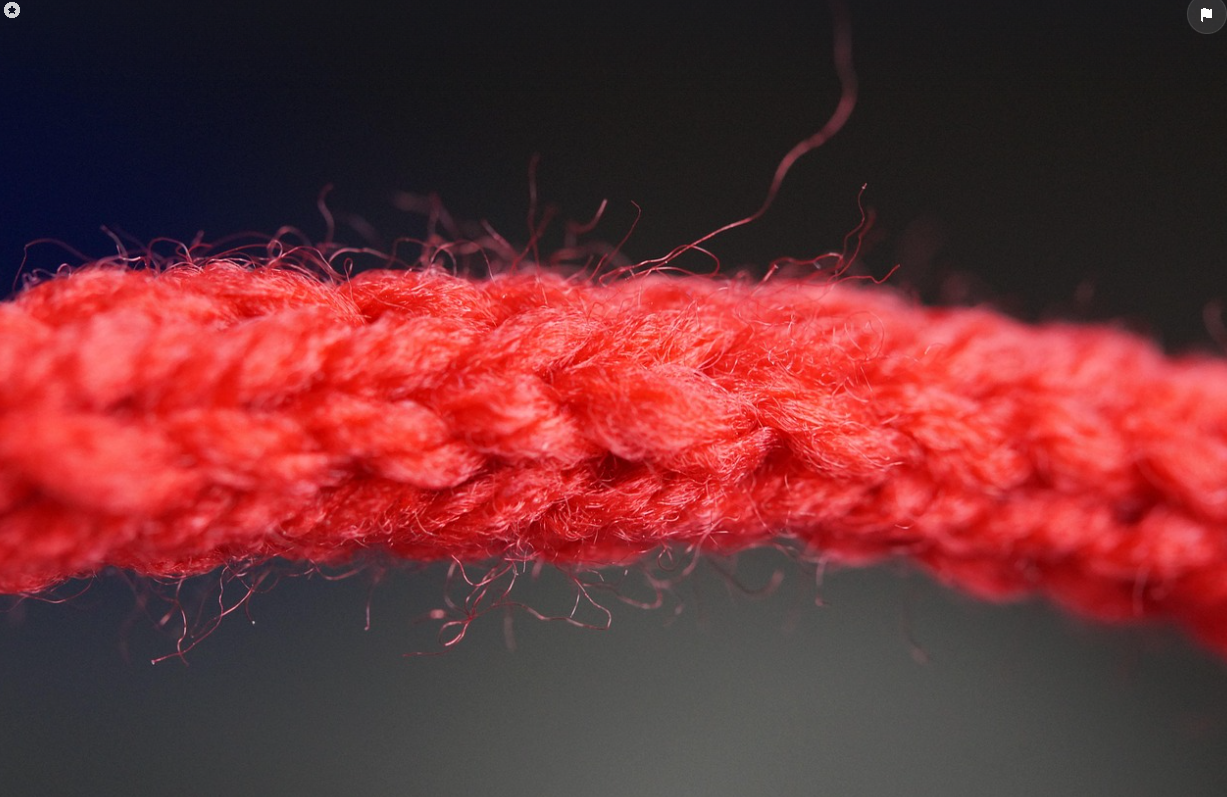 신카이 마코토 영화