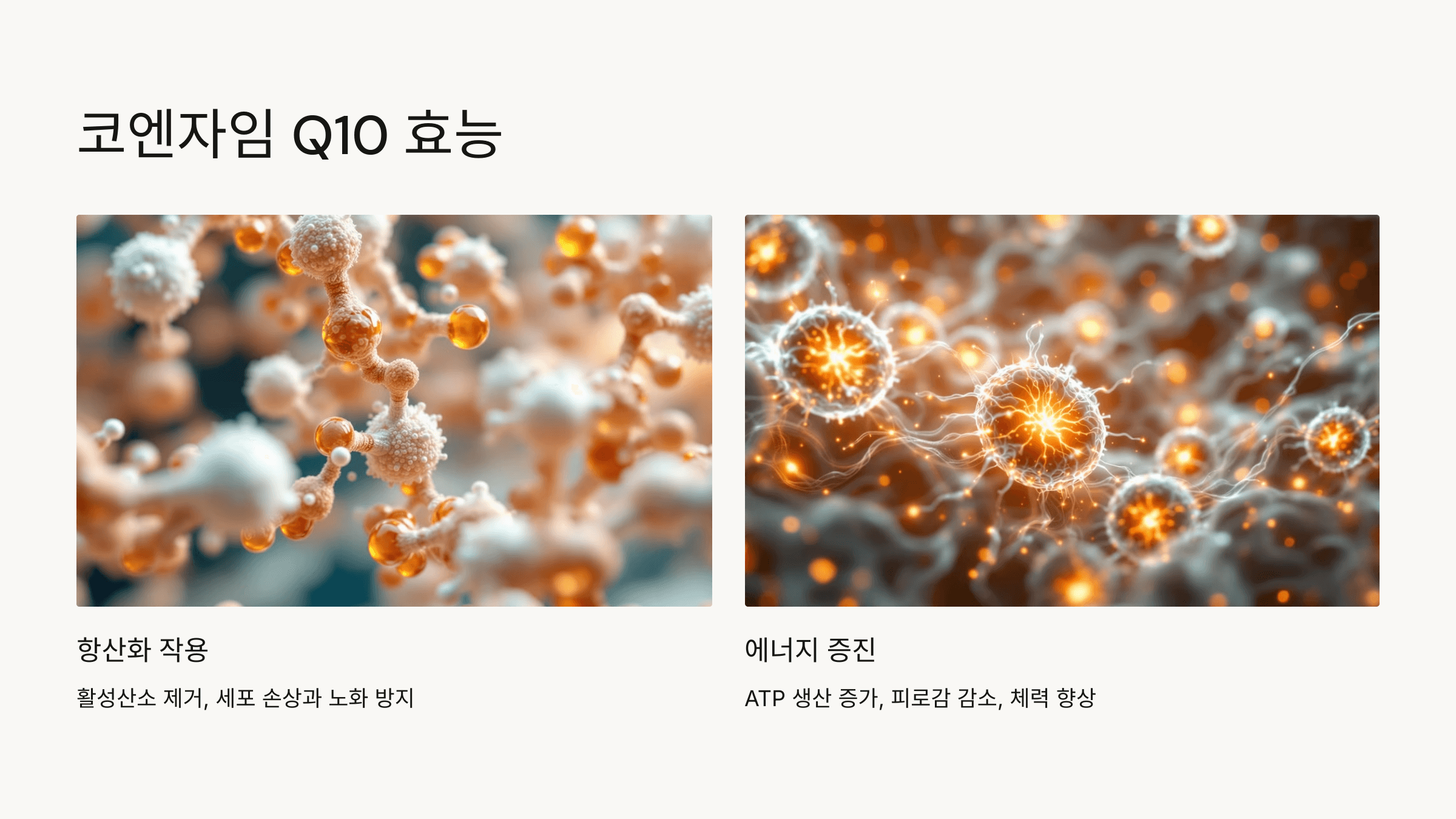 코엔자임q10과 관련된 사진입니다.