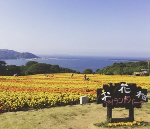 후쿠오카 효도여행