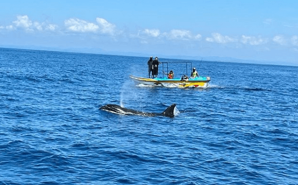 최고의 해변 추천 10