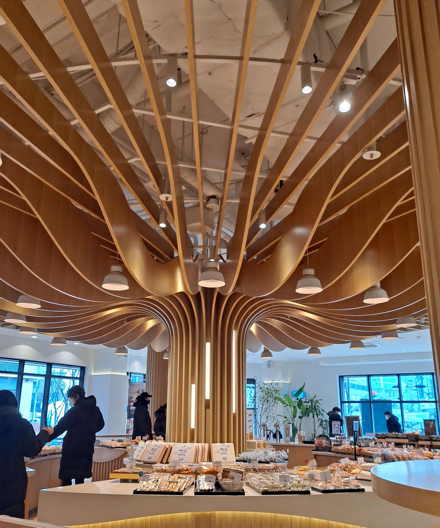 안스 중앙 트리데코