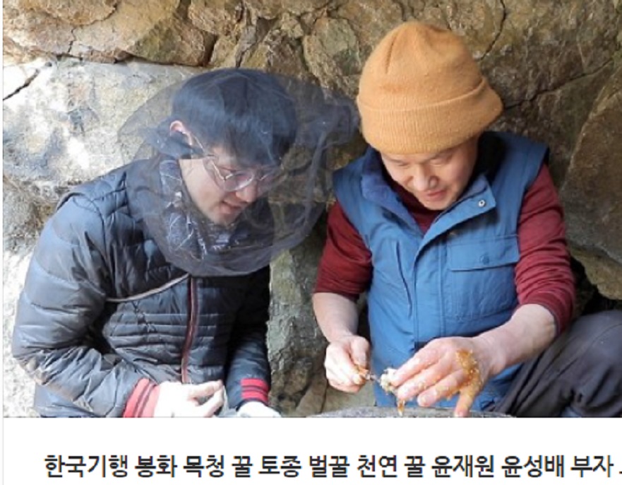 동네한바퀴-봉화-토종벌꿀-윤재원
