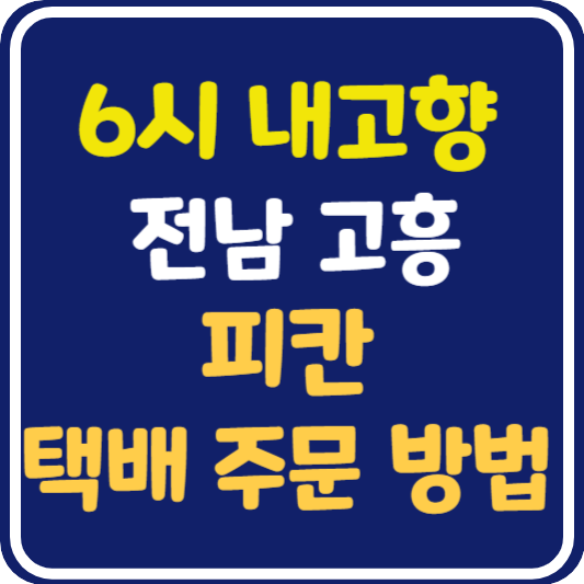 6시 내고향 고흥 피칸 택배 주문 방법