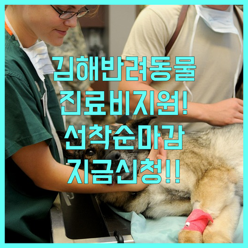 김해시 반려동물 진료비 지원 선착순 ..