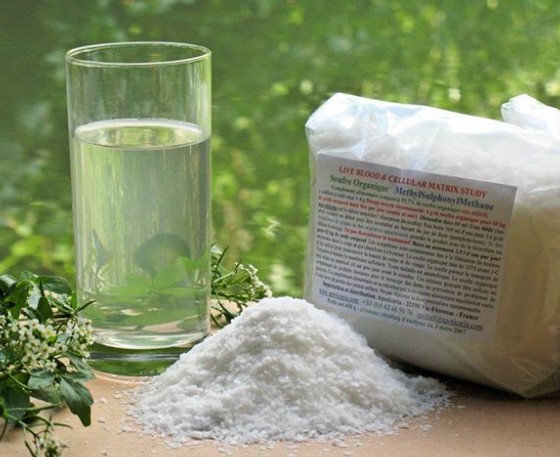 MSM의 숨겨진 부작용