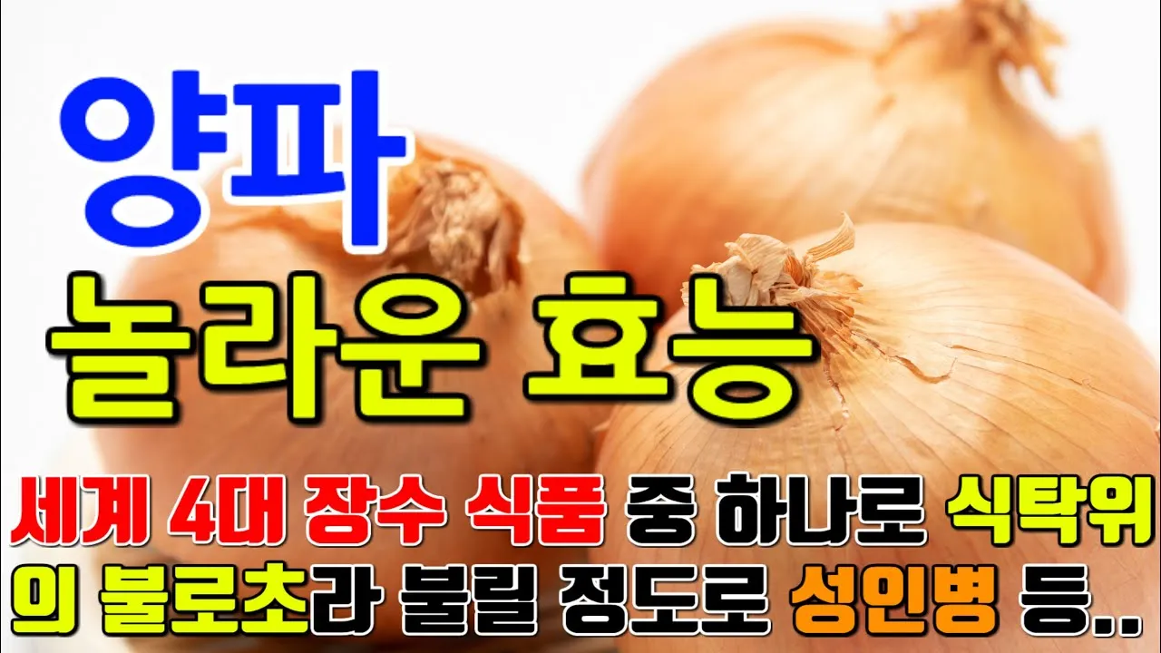 gg_양파 효능_19