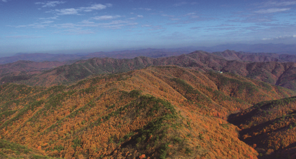 청양 가볼만한곳 베스트10