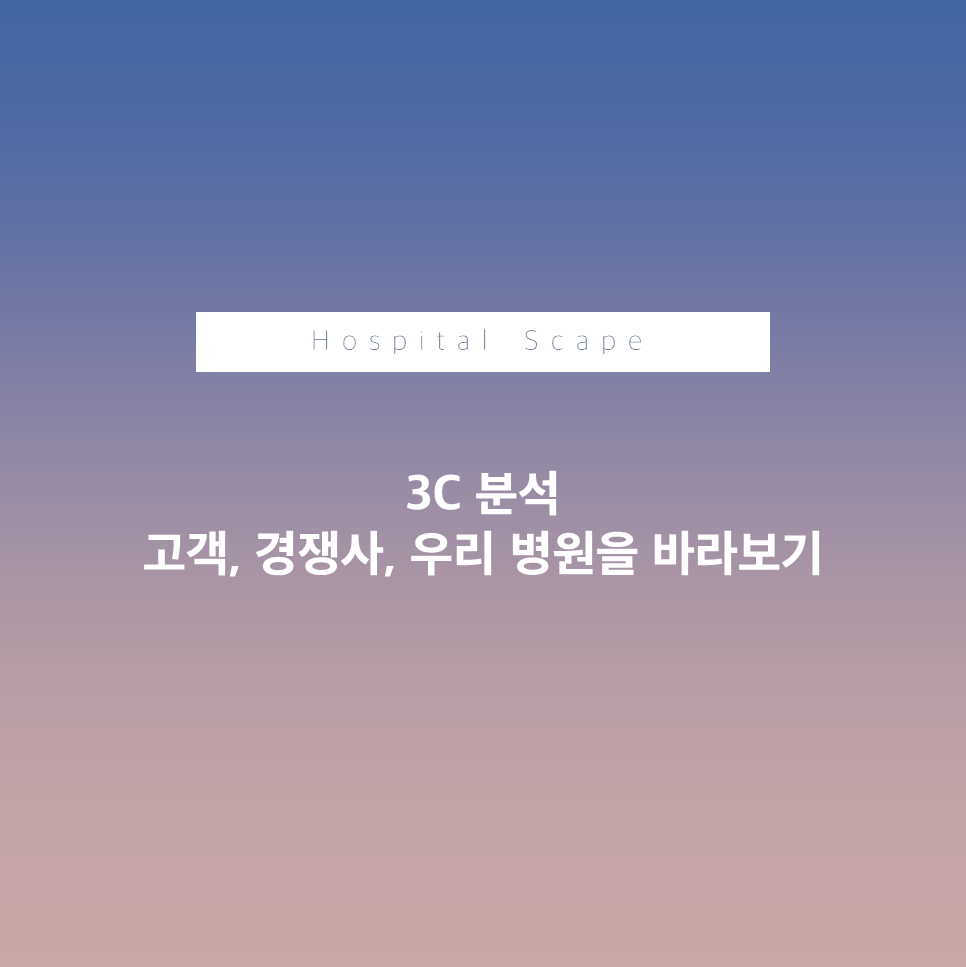 3c 분석 - 고객- 경쟁사- 자사- 병원 분석 - 병원기획