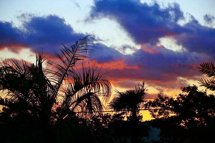 생방송오늘저녁 제주 인생샷 핫스팟 크림 쇼콜라 커피 디저트 3&#44;500평 동백 가드닝 베이커리 카페 맛집 추천