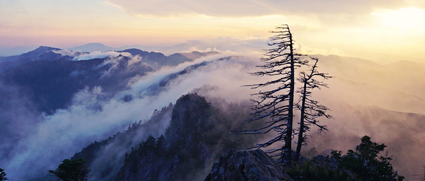 산청 한방약초축제