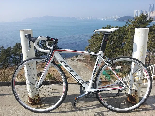 로드 자전거 피팅 자세 교정 무릎 부담 감소 효율적인 페달링 가이드_1