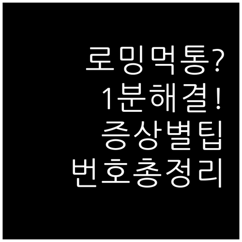 로밍 데이터 안됨 증상별 해결책과 통..