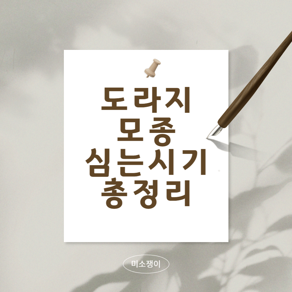 도라지-모종-심는-시기-알아-보기-위한-문구