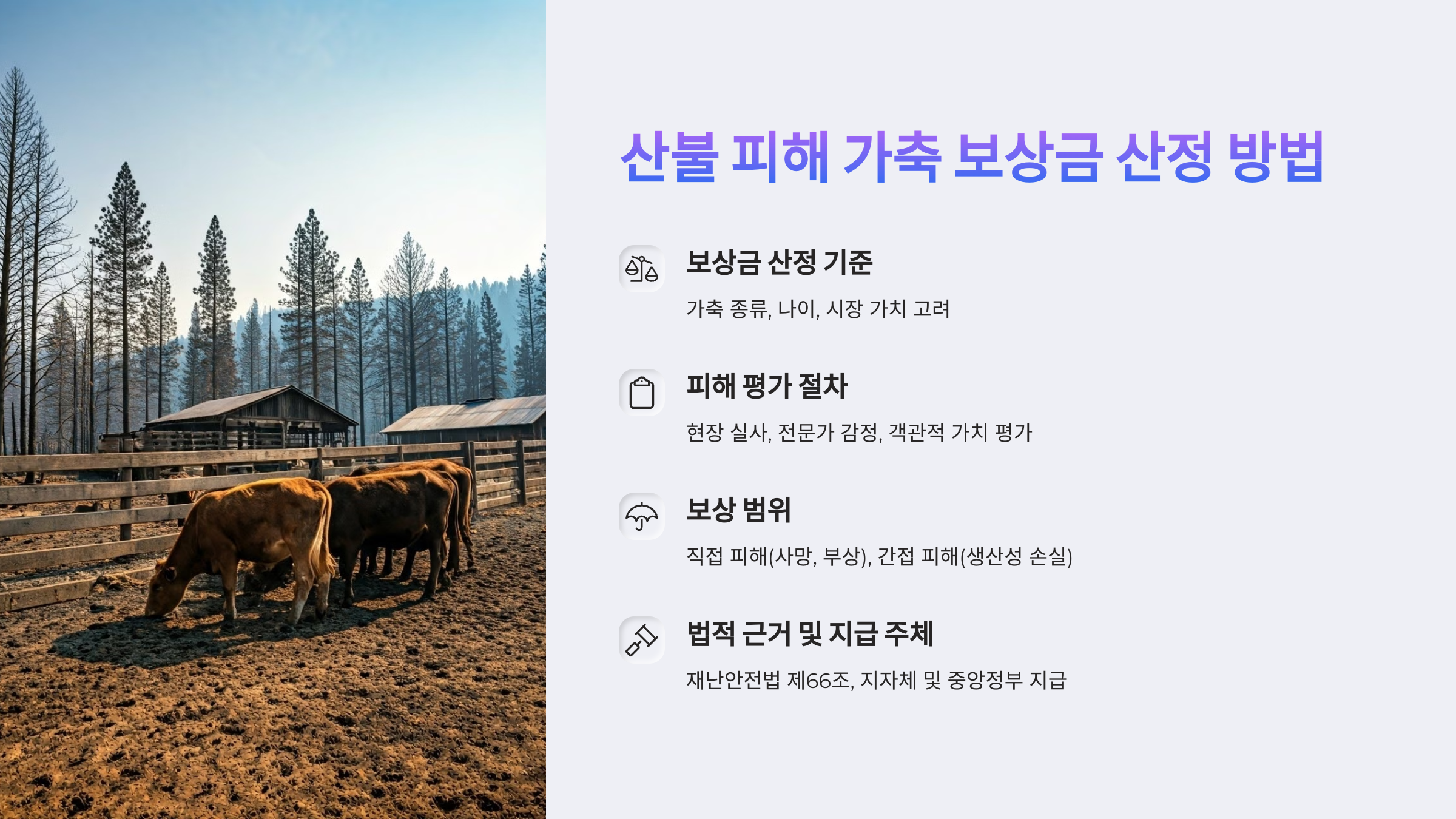 산불 피해 가축 보상금 산정 방법 총정리
