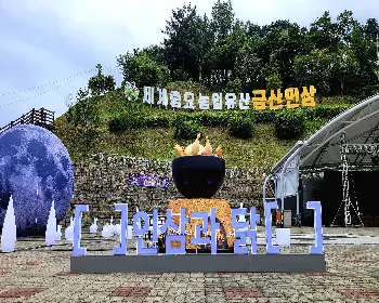 금산 삼계탕 축제_4