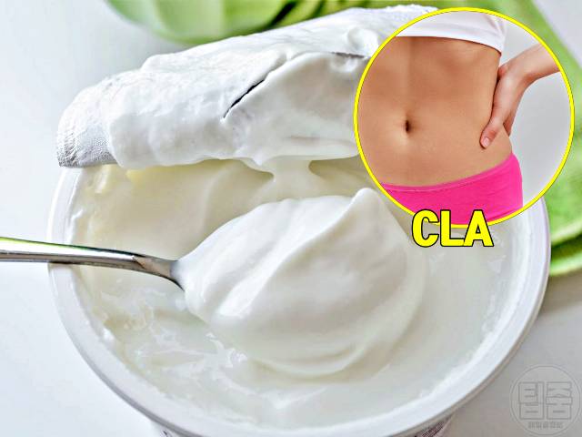 복부 체지방 빼는 음식 전지방 그릭요거트
