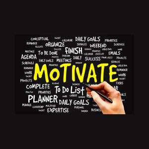 정서 지능의 구성요소