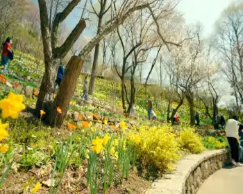 화담숲 예약 방법_7