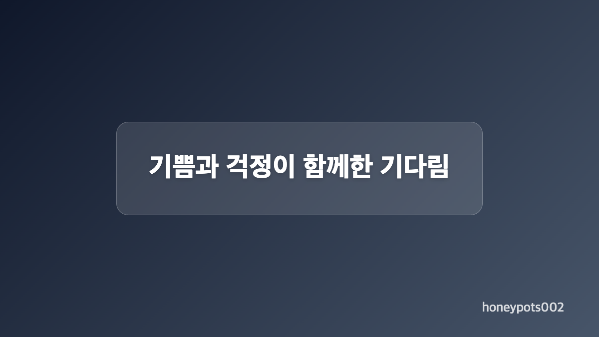 배아 이식 후 임신 확인 시점은 언제였나