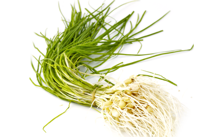 달래의효능총정리