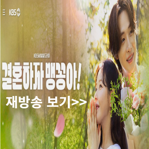 결혼하자 맹꽁아 재방송