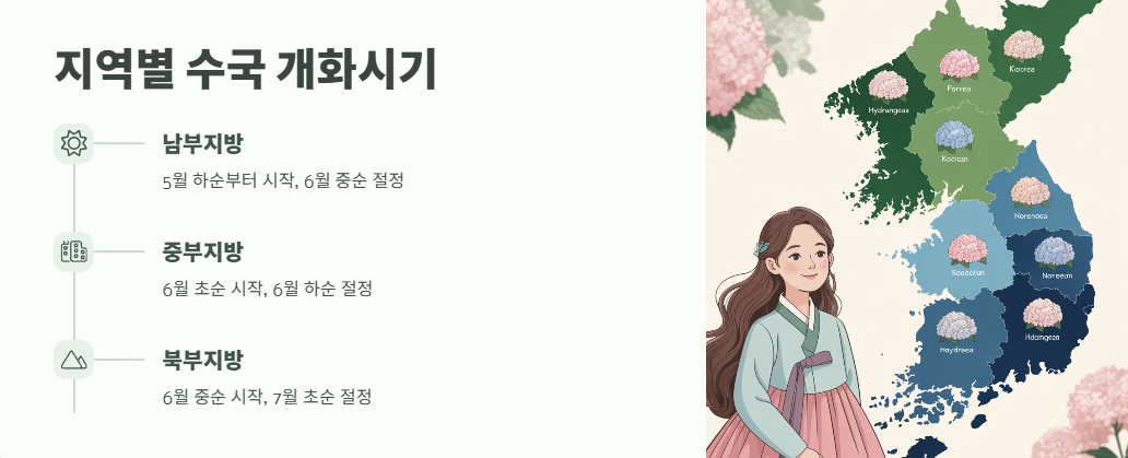 수국 개화시기 완벽 정리 2