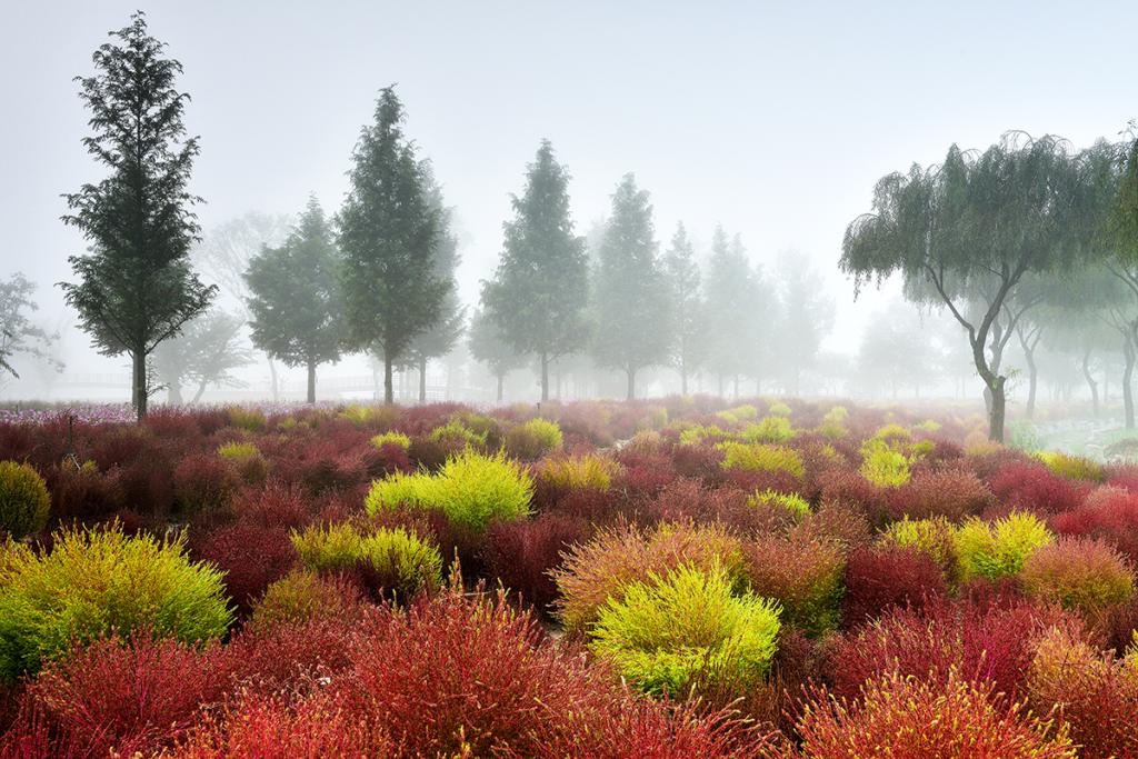 [4월~5월 여행지]만개한 꽃잔디와 봄날의 감동, 거창창포원에서 만난 힐링의 순간