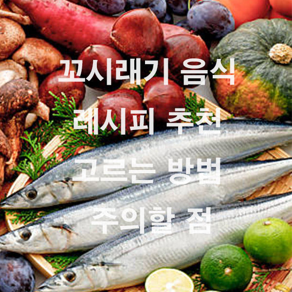 꼬시래기 음식 레시피 추천 고르는 방법 주의할 점