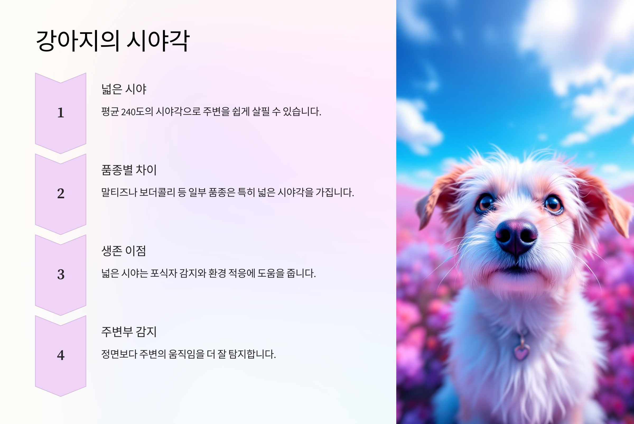 강아지의 시야각