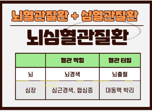 뇌심혈관질환 종류