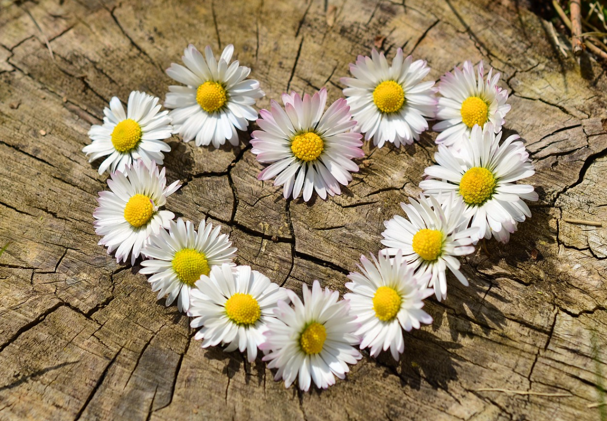 감사 일기가 주는 긍정적 생활 효과에 대한 사진