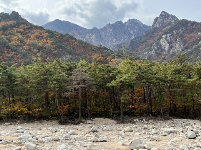 설악산 단풍시기