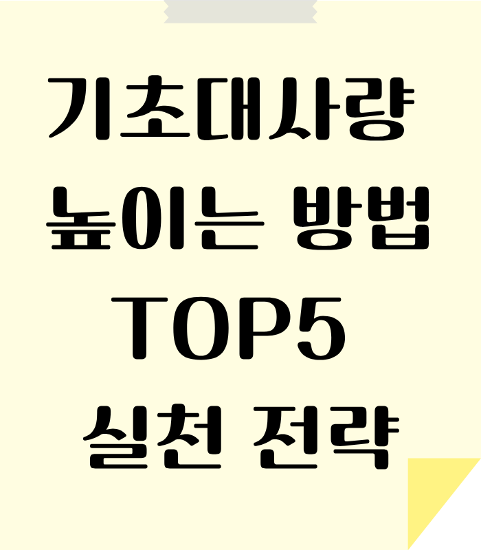 기초대사량을 높이는 방법 5가지 안내