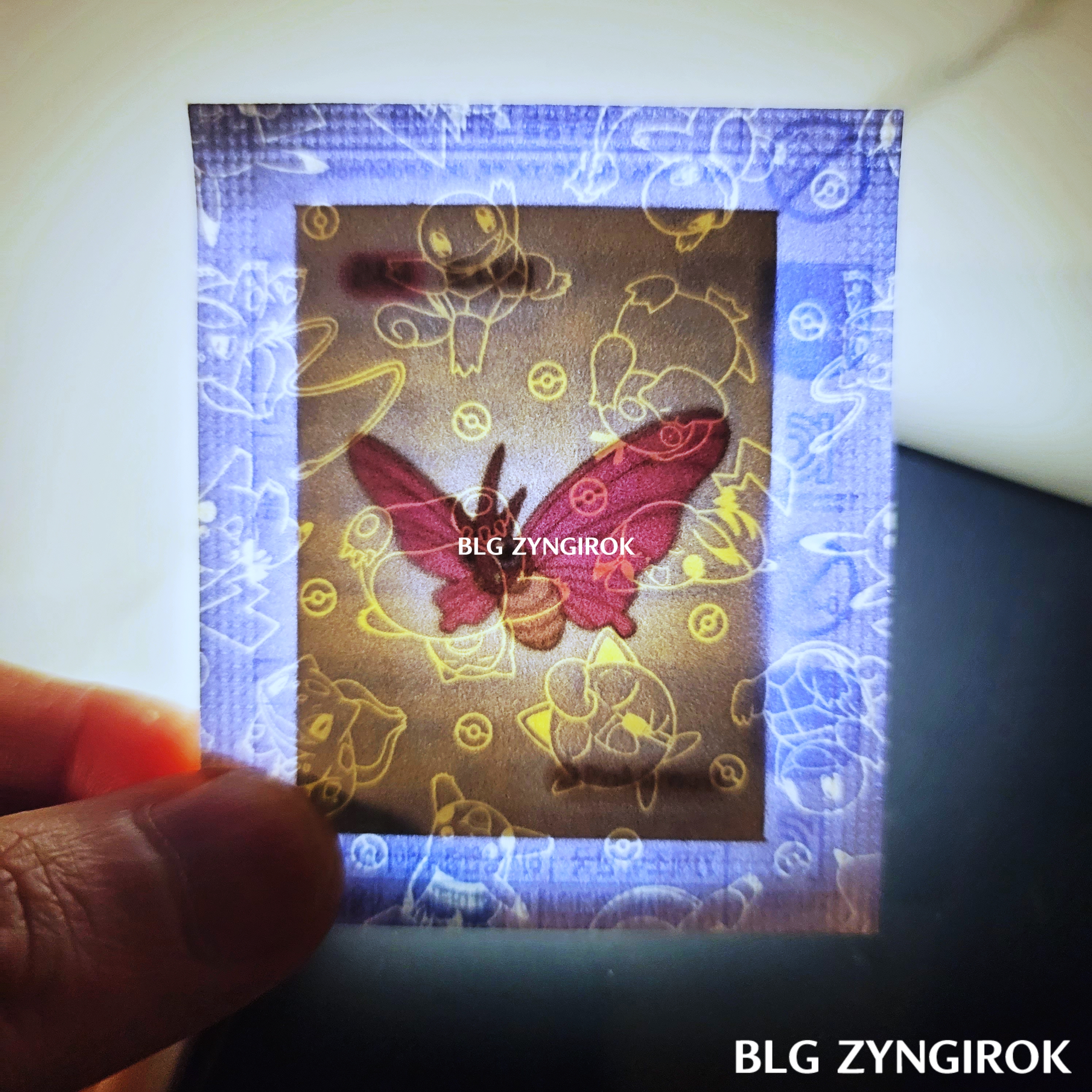 띠부띠부씰-도나리를-들고있다.