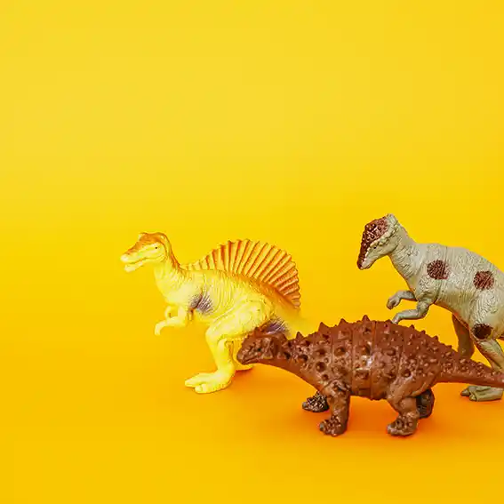 해남 공룡대축제 어린이날