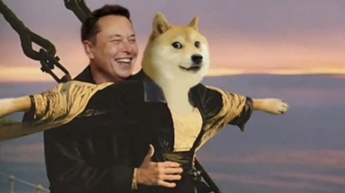 도지코인과-일론머스크-밈