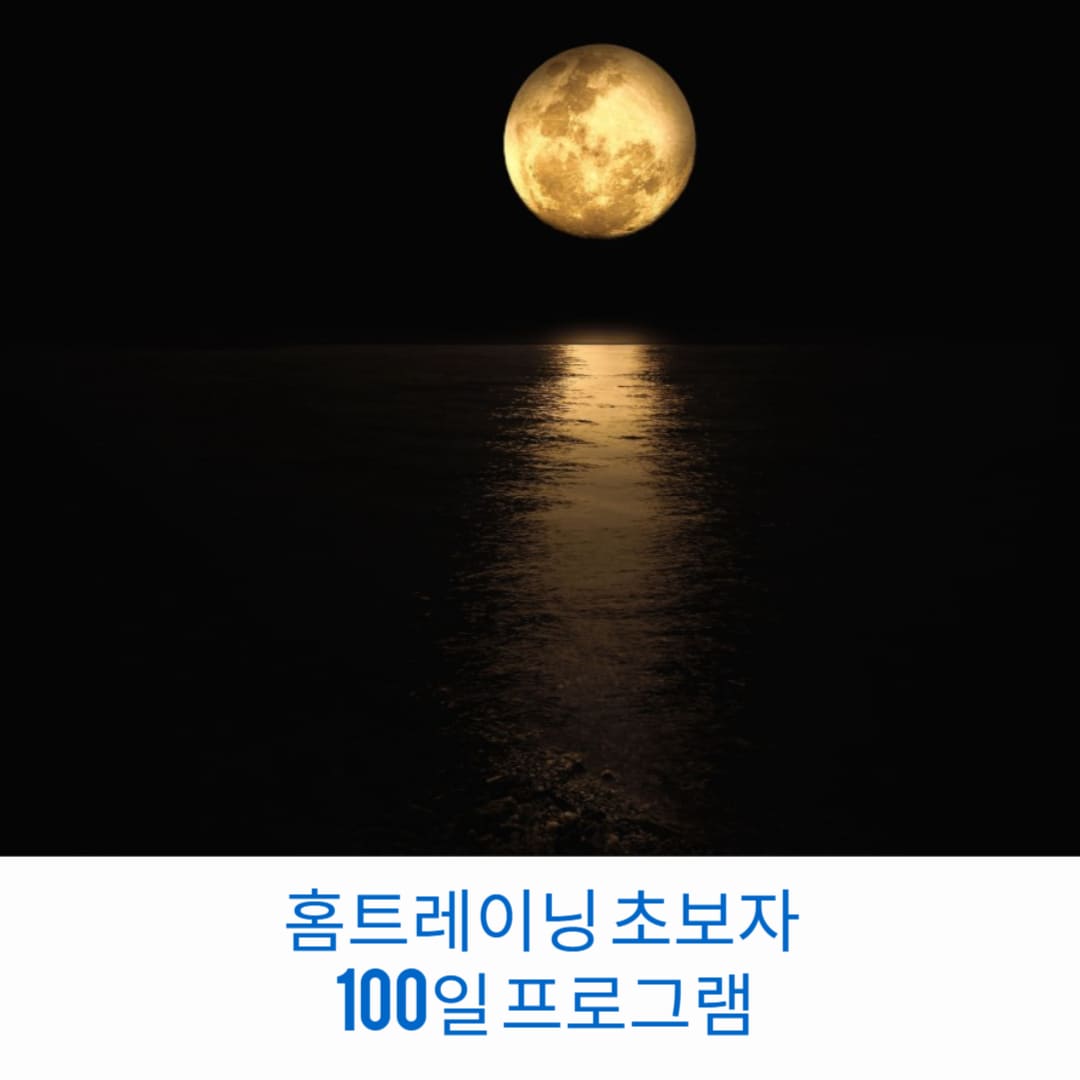 홈트레이닝-초보자-100일-프로그램-썸네일