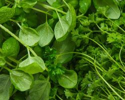 역류성 식도염 15