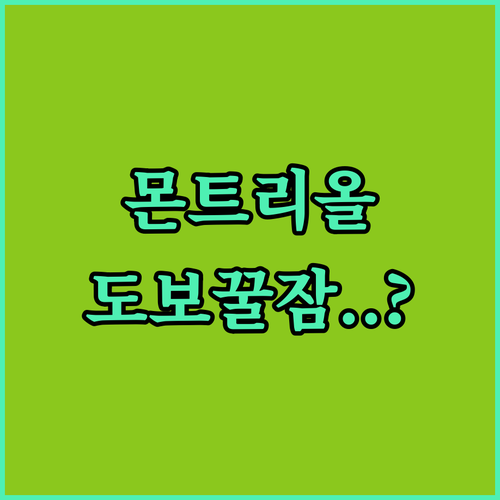 몬트리올 시내 호텔 베스트 5 교통 ..