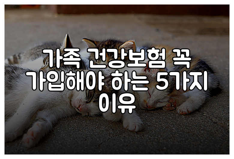 가족 건강보험 꼭 가입해야 하는 5가지 이유