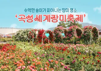 곡성 가볼만한곳 베스트10 기차마을 섬진강길 카페 산책_3