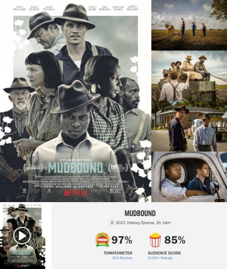 치욕의 대지 포스터