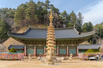 월정사 법당과 팔각구층석탑사진